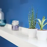 Guestready - Theater 아파트 포르투
