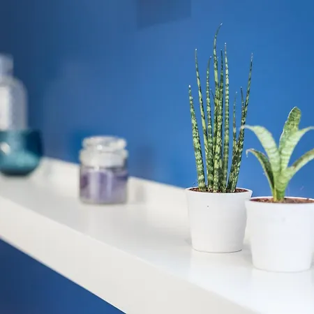 Guestready - Theater Appartamento Oporto